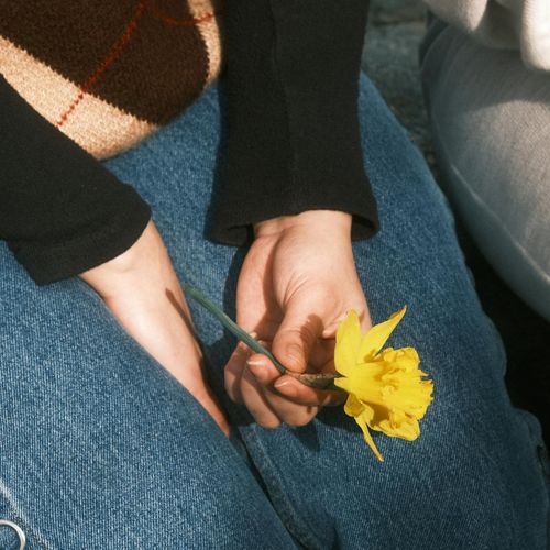 Close-up of a person's hands in a meditative gesture.